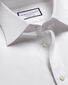 Semi-Cutaway Collar Egyptian Cotton Twill Shirt - White